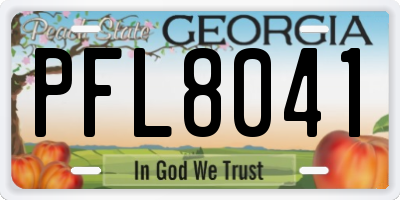 GA license plate PFL8041