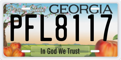 GA license plate PFL8117