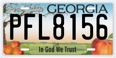 GA license plate PFL8156