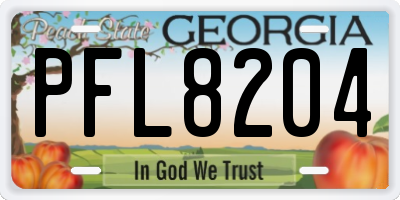 GA license plate PFL8204