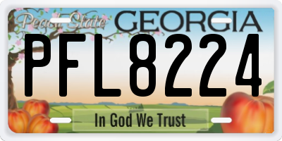 GA license plate PFL8224