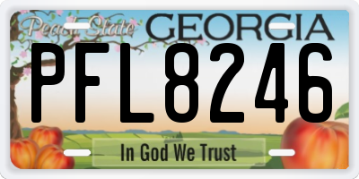GA license plate PFL8246
