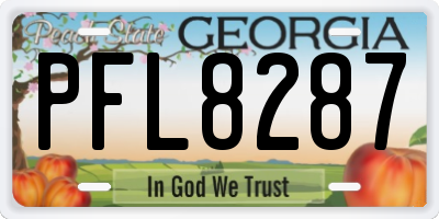 GA license plate PFL8287