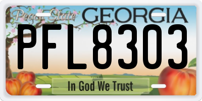 GA license plate PFL8303