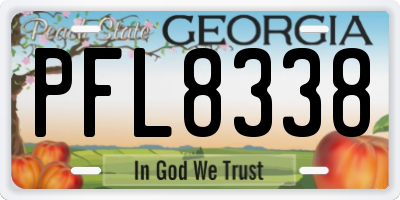 GA license plate PFL8338