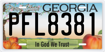 GA license plate PFL8381
