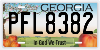 GA license plate PFL8382