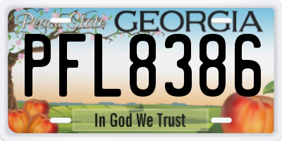 GA license plate PFL8386
