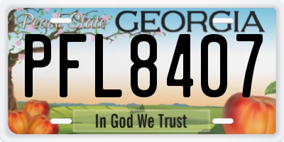 GA license plate PFL8407
