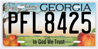 GA license plate PFL8425