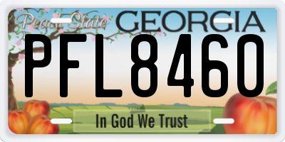 GA license plate PFL8460