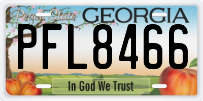 GA license plate PFL8466