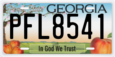 GA license plate PFL8541