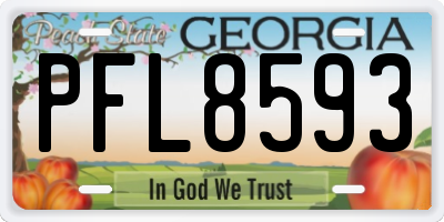 GA license plate PFL8593