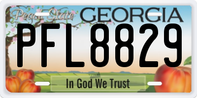 GA license plate PFL8829