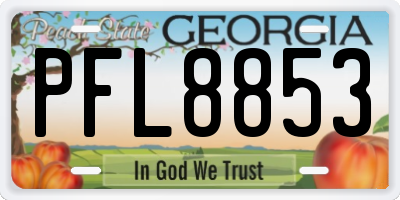 GA license plate PFL8853