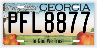 GA license plate PFL8877