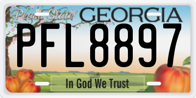 GA license plate PFL8897