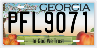 GA license plate PFL9071