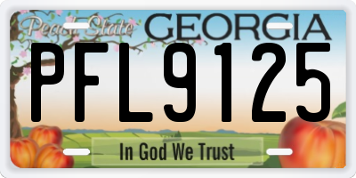 GA license plate PFL9125