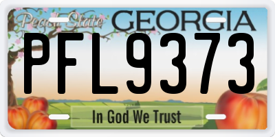 GA license plate PFL9373