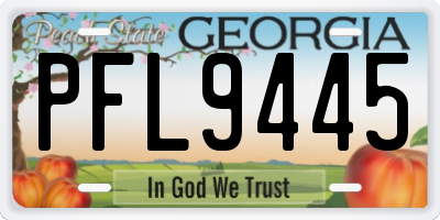 GA license plate PFL9445