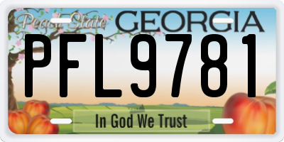 GA license plate PFL9781