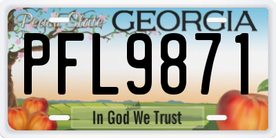 GA license plate PFL9871