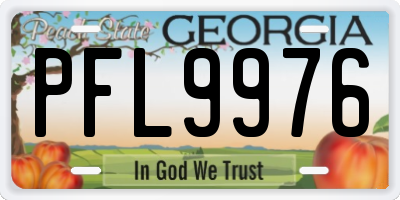 GA license plate PFL9976