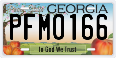 GA license plate PFM0166