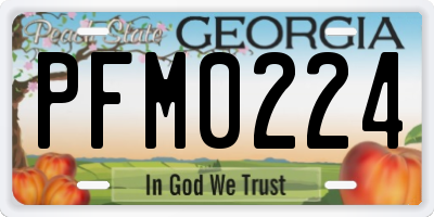 GA license plate PFM0224