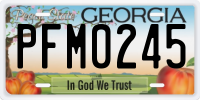 GA license plate PFM0245