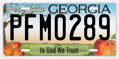 GA license plate PFM0289