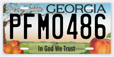 GA license plate PFM0486