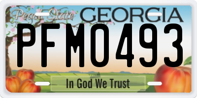 GA license plate PFM0493