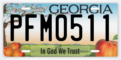 GA license plate PFM0511