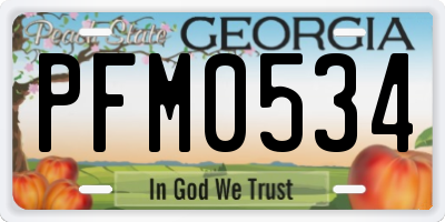 GA license plate PFM0534