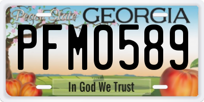 GA license plate PFM0589