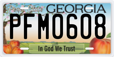GA license plate PFM0608