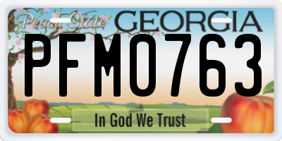 GA license plate PFM0763