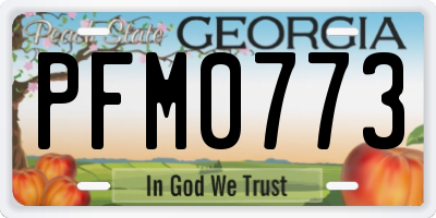 GA license plate PFM0773