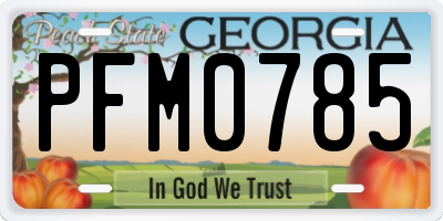 GA license plate PFM0785