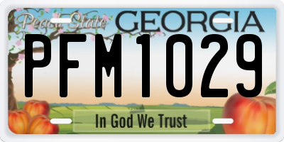 GA license plate PFM1029