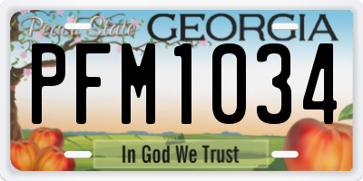 GA license plate PFM1034