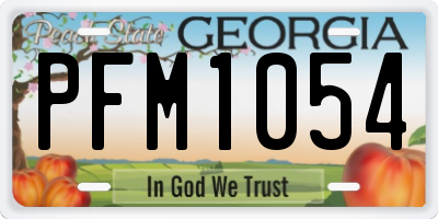 GA license plate PFM1054