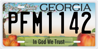 GA license plate PFM1142