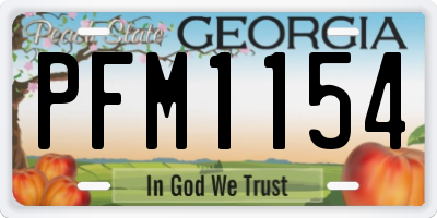 GA license plate PFM1154