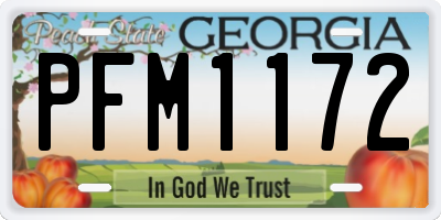 GA license plate PFM1172