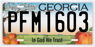 GA license plate PFM1603