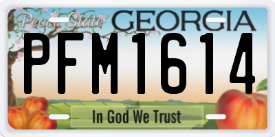 GA license plate PFM1614